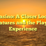 21 Casino: A Closer Look at Features and the Player Experience
