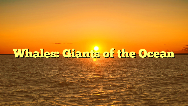 Whales: Giants of the Ocean